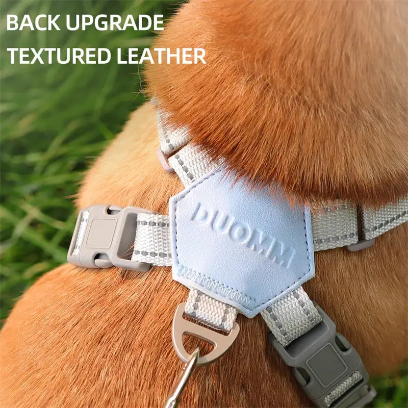 Dog harness with a hexagonal leather patch labeled ’TUOMI’.