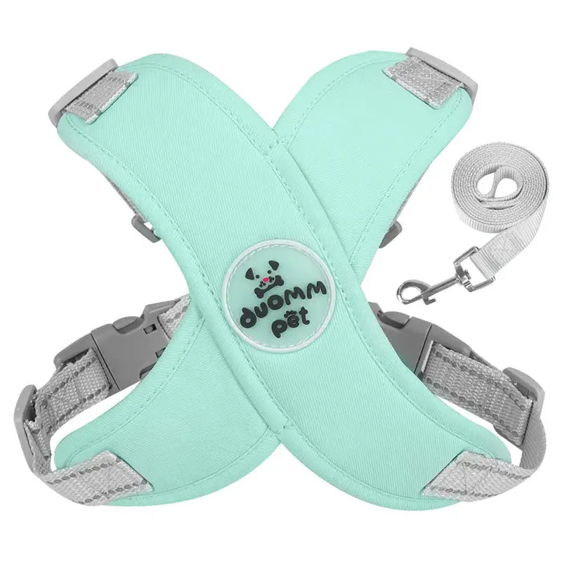 Mint green dog harness with adjustable straps and a matching leash.