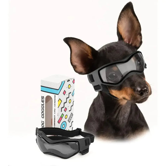 Dog wearing protective goggles.