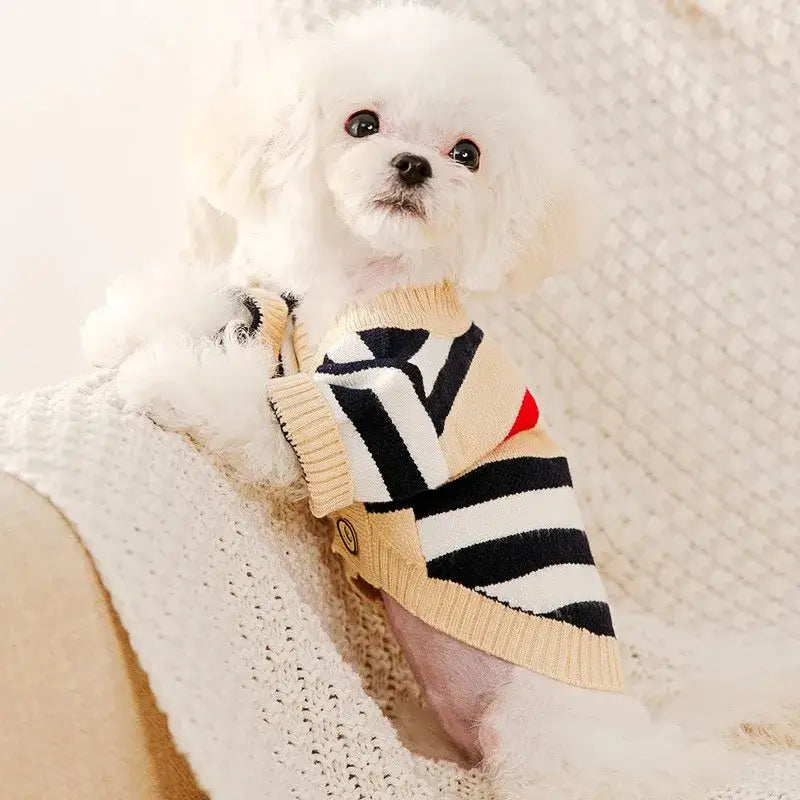 Fluffy white dog wearing a black and white striped sweater.