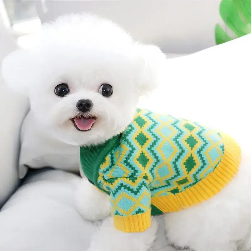 Fluffy white dog wearing a colorful patterned sweater.