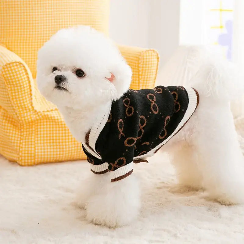 Fluffy white dog wearing a dark patterned sweater.