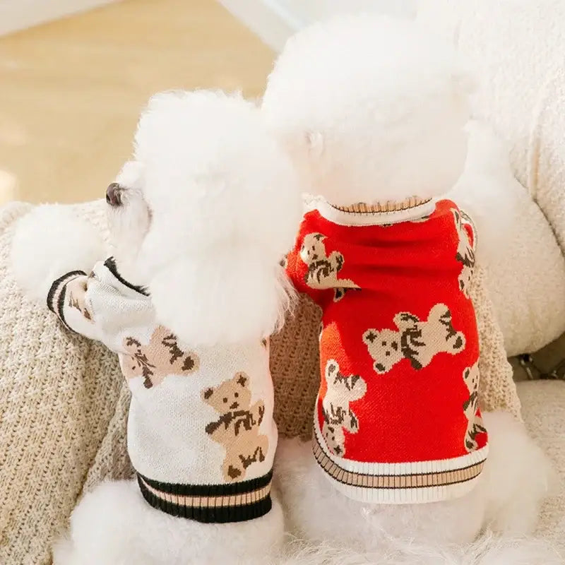 Two small white dogs wearing patterned sweaters, one white and one red.