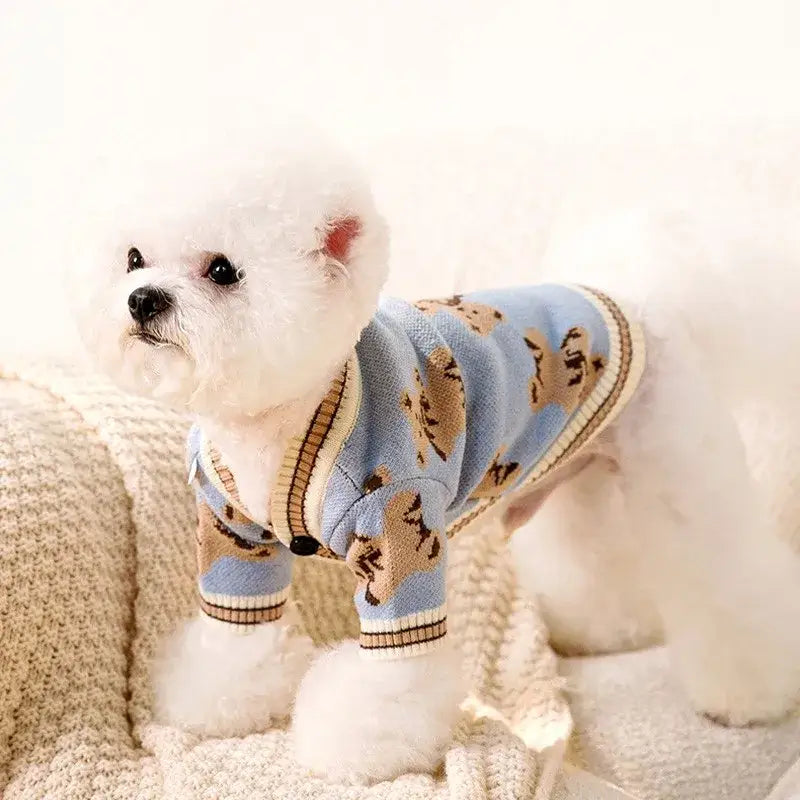 White dog wearing a light blue sweater with bear designs.