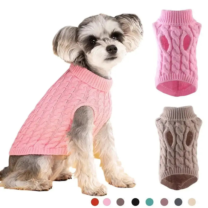 Small dog wearing a pink knitted sweater.