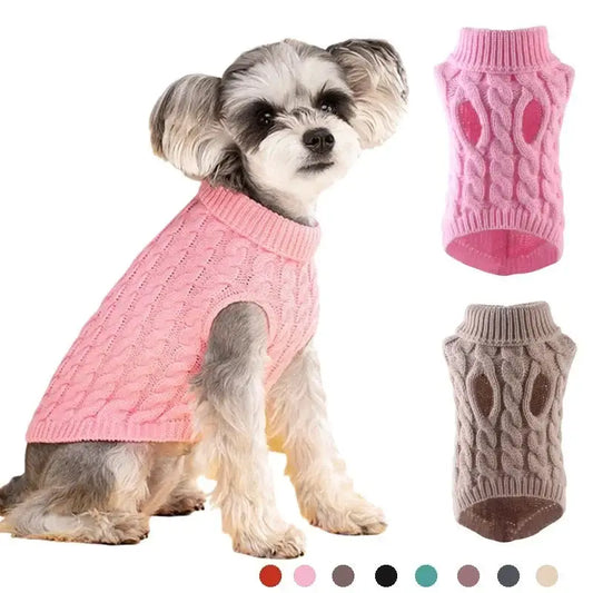 Small dog wearing a pink knitted sweater.