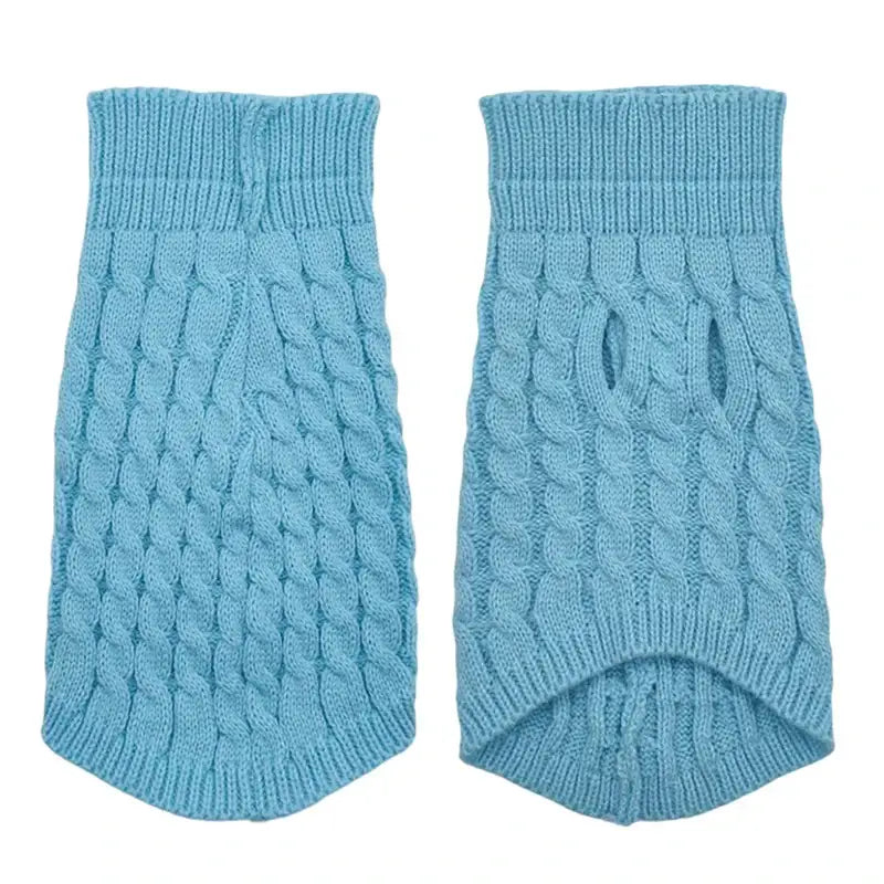 Light blue knitted dog sweater with a cable pattern.