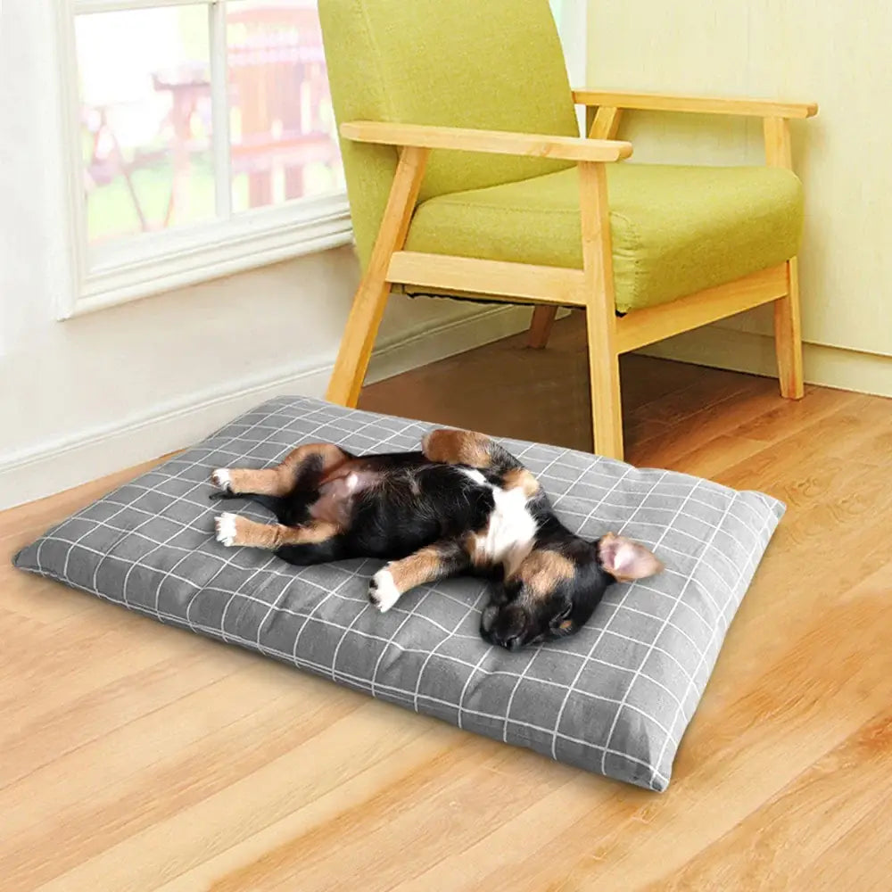 Dog sleeping on a gray plaid cushion.