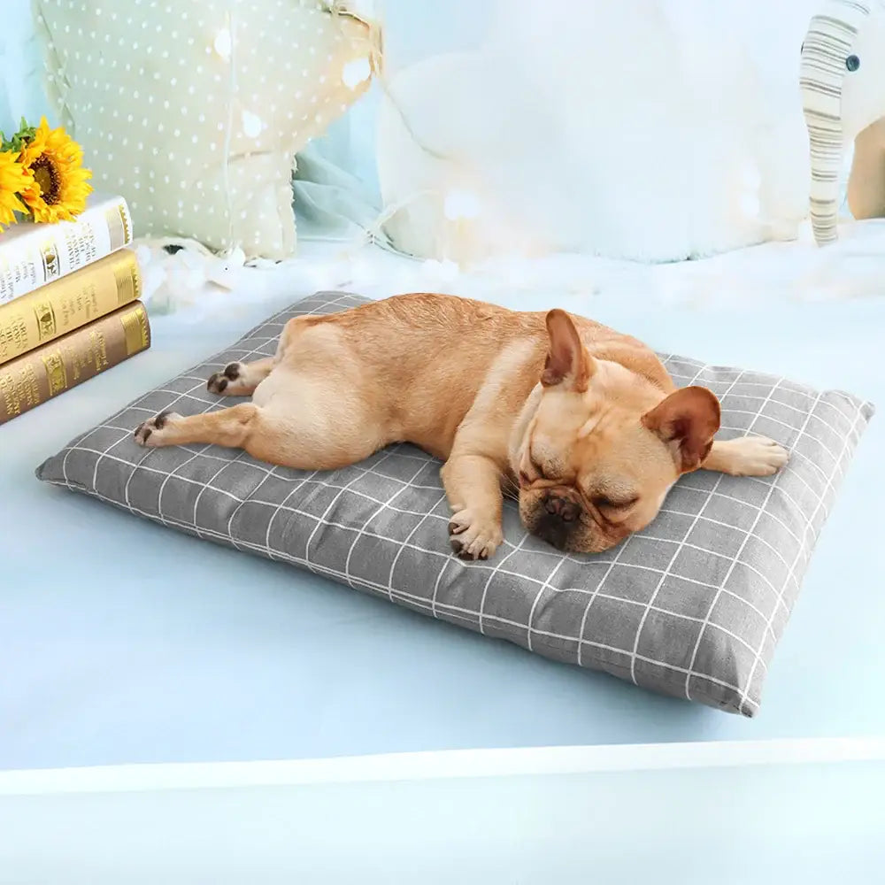 French bulldog sleeping on a gray plaid cushion.