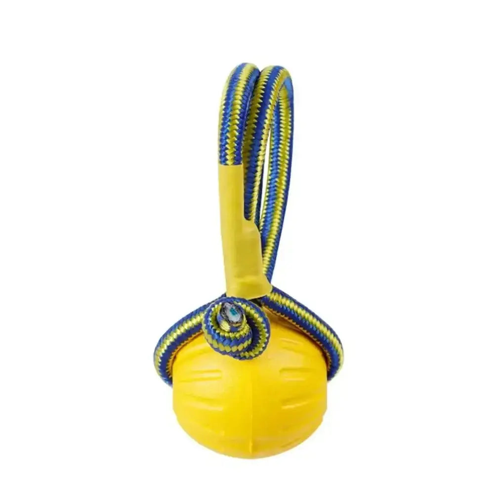 Yellow ball toy with blue and yellow rope attached.