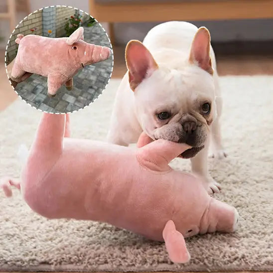 White French Bulldog puppy with a pink plush toy pig.