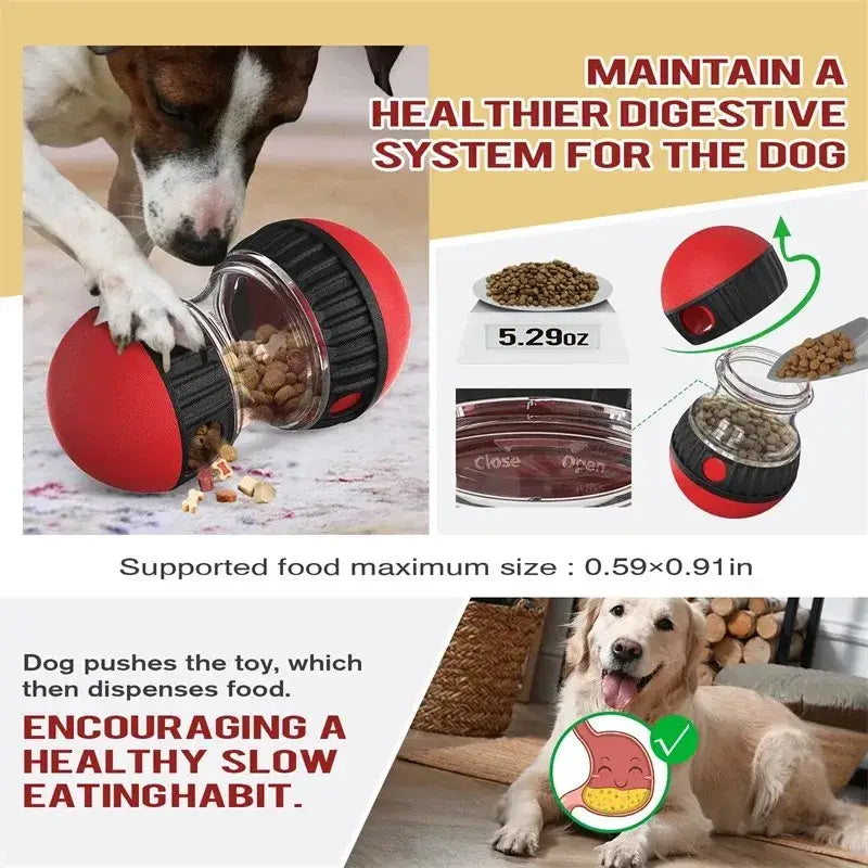 Interactive dog toy that dispenses food when pushed or played with.