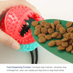 Dog Tug Of War Toy - Vignette | DoggyElite