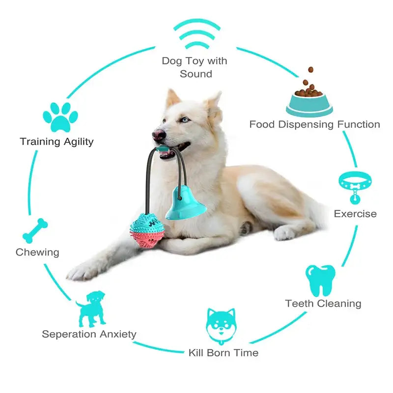 White dog lying down with various pet care icons surrounding it in a circular arrangement.