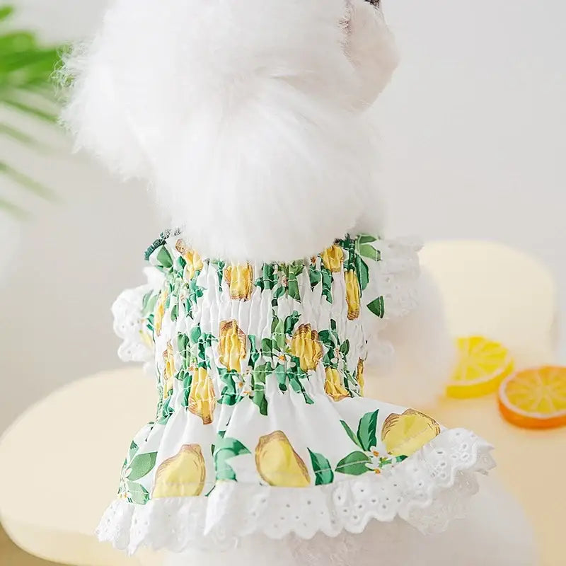 Frilly white dress with a lemon print pattern.