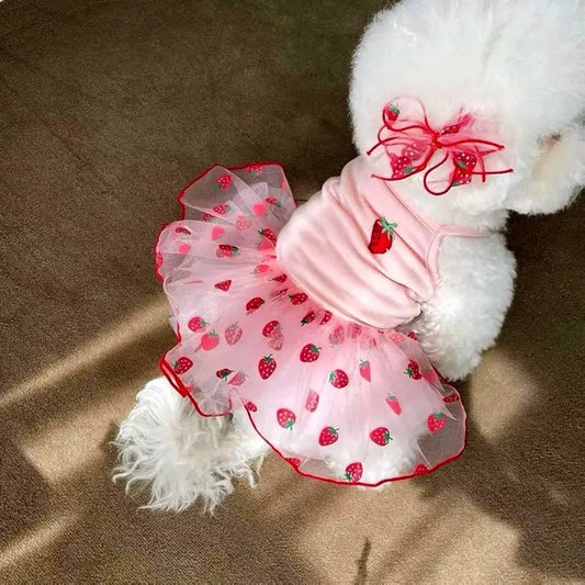 White dog wearing a pink strawberry-patterned dress and bow.