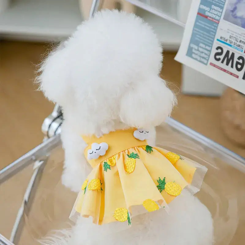 White poodle wearing a yellow dress with pineapple prints.