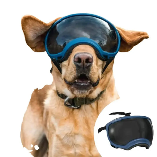 Dog wearing blue ski goggles.