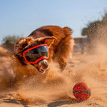 Dog UV Goggles - Vignette | DoggyElite