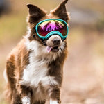 Dog UV Goggles - Vignette | DoggyElite