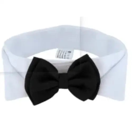 Black bow tie attached to a white collar.