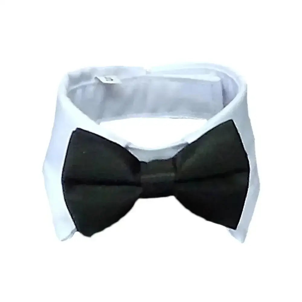 Black bow tie attached to a white collar.