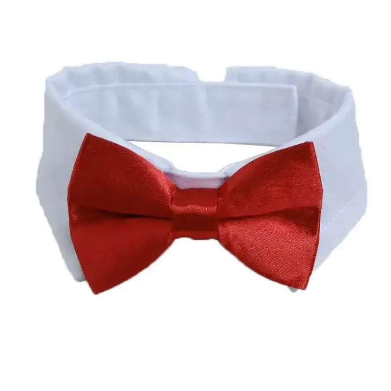 Red bow tie attached to a white collar.