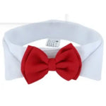 Dog Wedding Bow Tie Collar - Vignette | DoggyElite