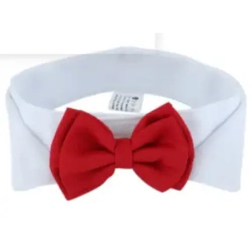 Red bow tie attached to a white collar.