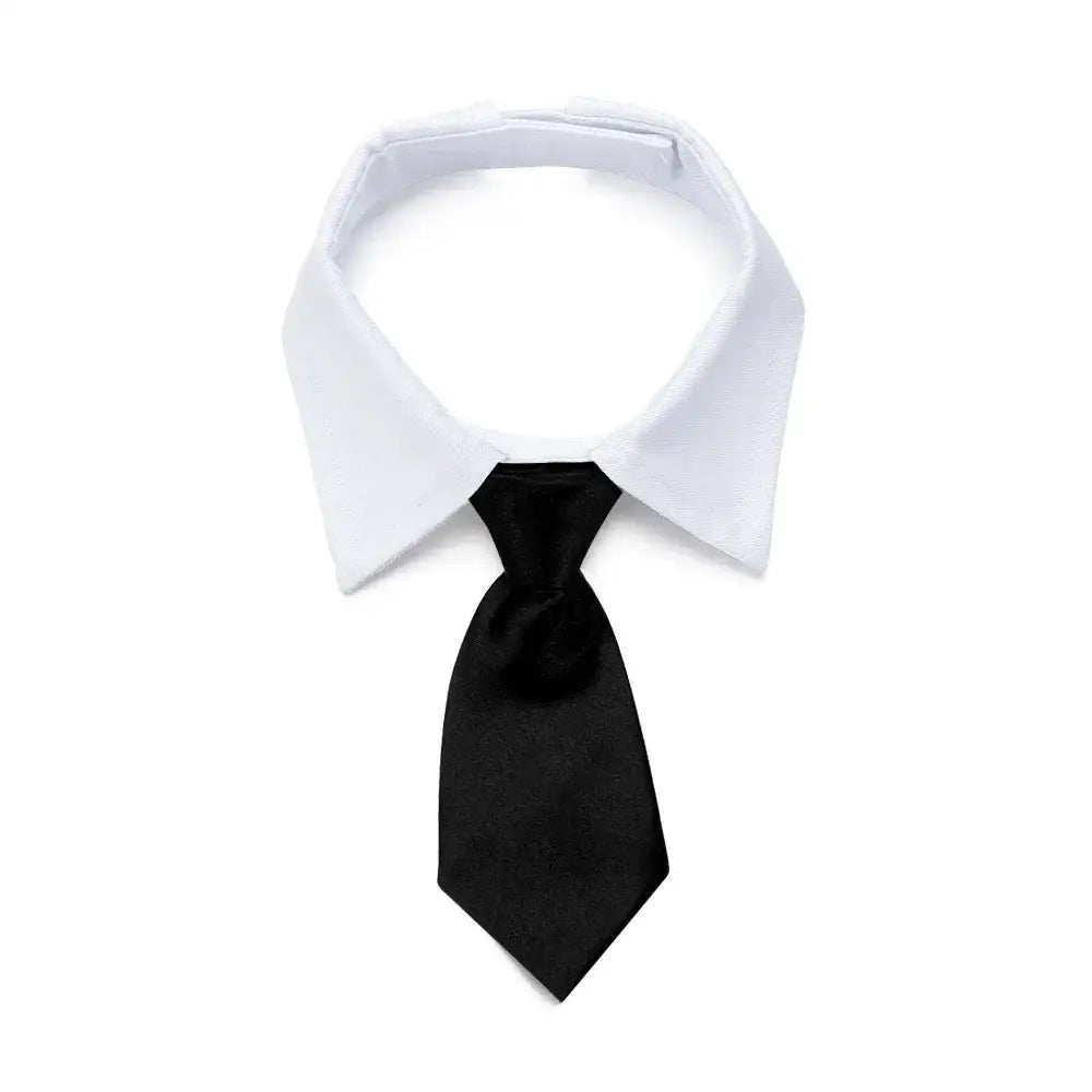 White shirt collar with a black necktie.