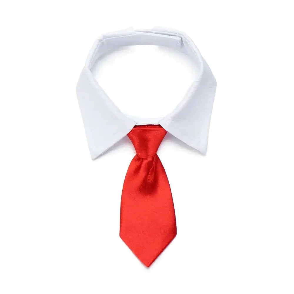 White shirt collar with a bright red necktie.