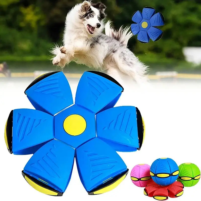 Blue flower-shaped disc toy with a yellow center and multiple catch panels.