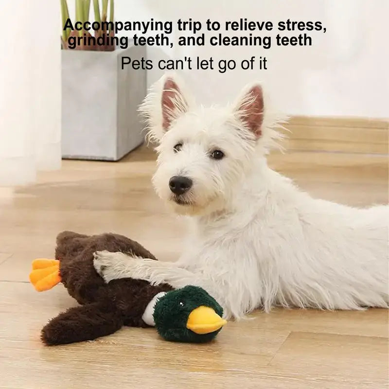 White dog lying on a floor with a stuffed toy duck.