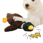 Duck Plush Toy - Vignette | DoggyElite