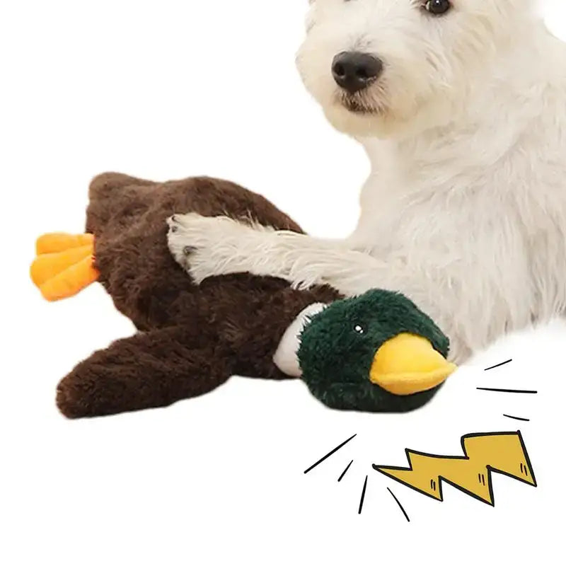 White dog with a plush toy duck.