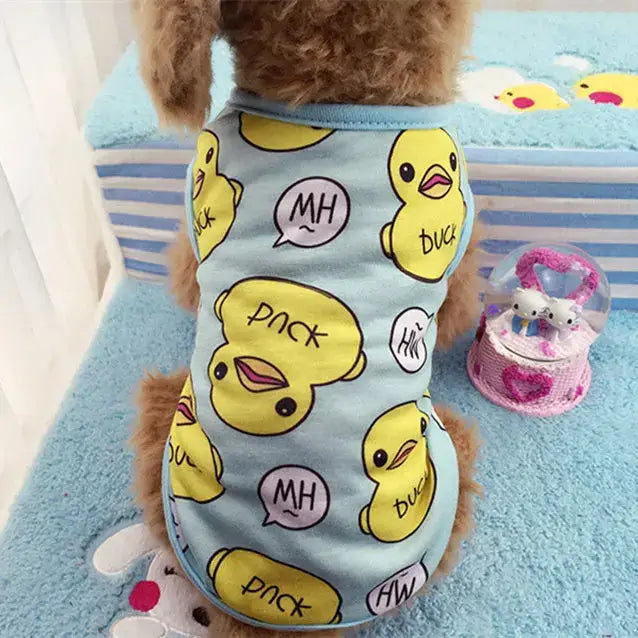 Dog wearing a light blue shirt with yellow duck and speech bubble patterns.