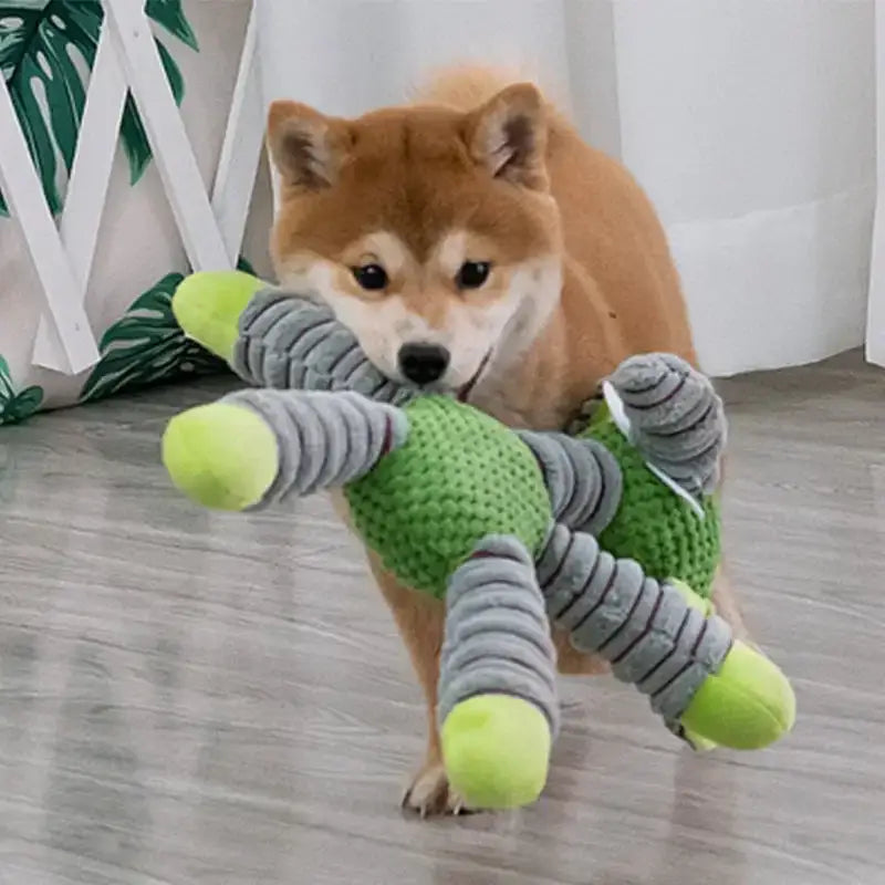 Shiba Inu dog carrying a plush green and gray toy in its mouth.