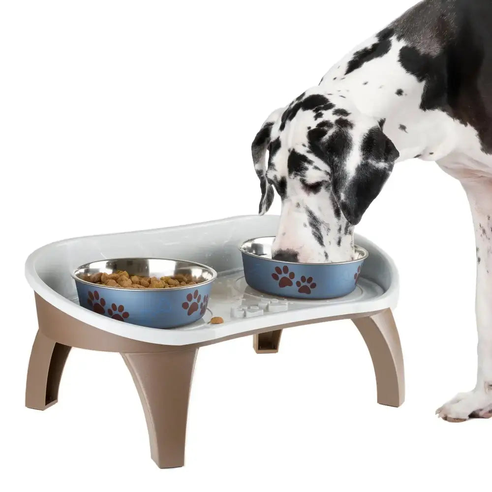 Elevated feeding station with two bowls for dogs.