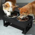 Elevated Tilted Dog Bowls For Small Dogs - Vignette | DoggyElite