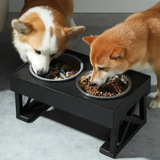 Elevated double dog bowl stand with two dogs eating from it.