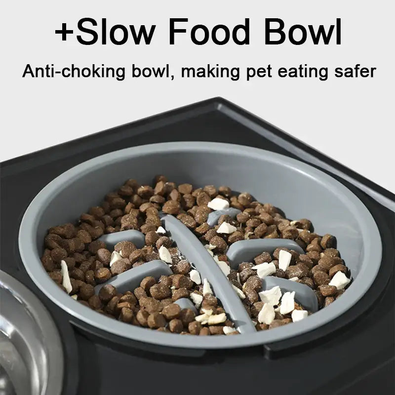 Specialized pet food bowl with raised obstacles designed to slow down eating.