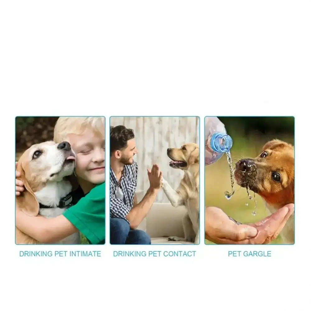 Three-panel image showing different interactions between humans and dogs, labeled as ’Drinking Pet Intimate,’ ’Drinking Pet Contact,’ and ’Pet Gargle.’