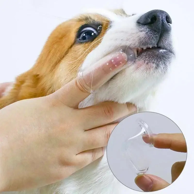 Close-up of a dog’s face with a human hand gently touching its cheek.