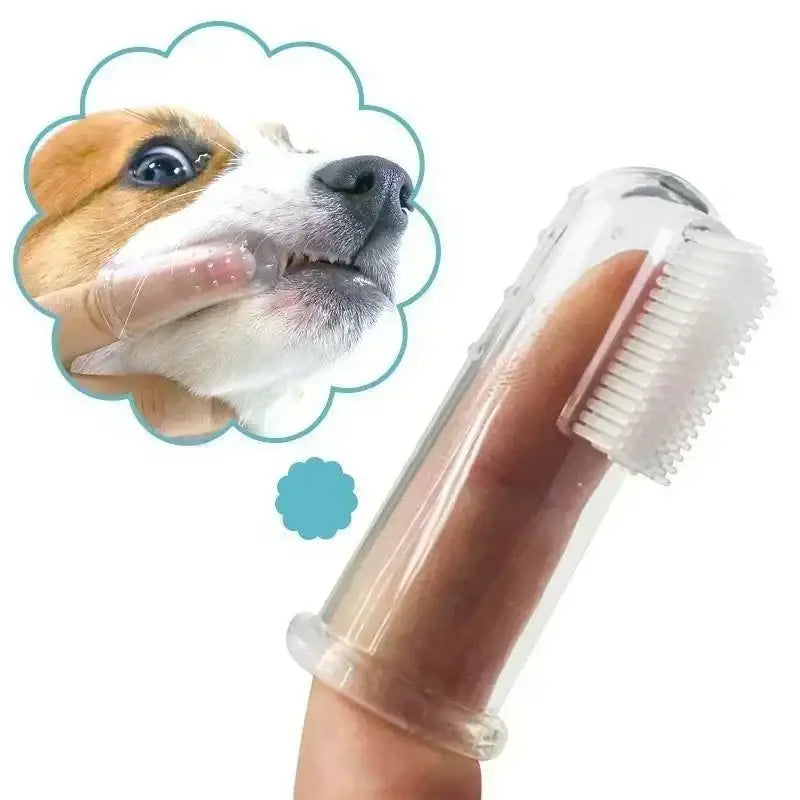 Finger toothbrush designed for cleaning dogs’ teeth.