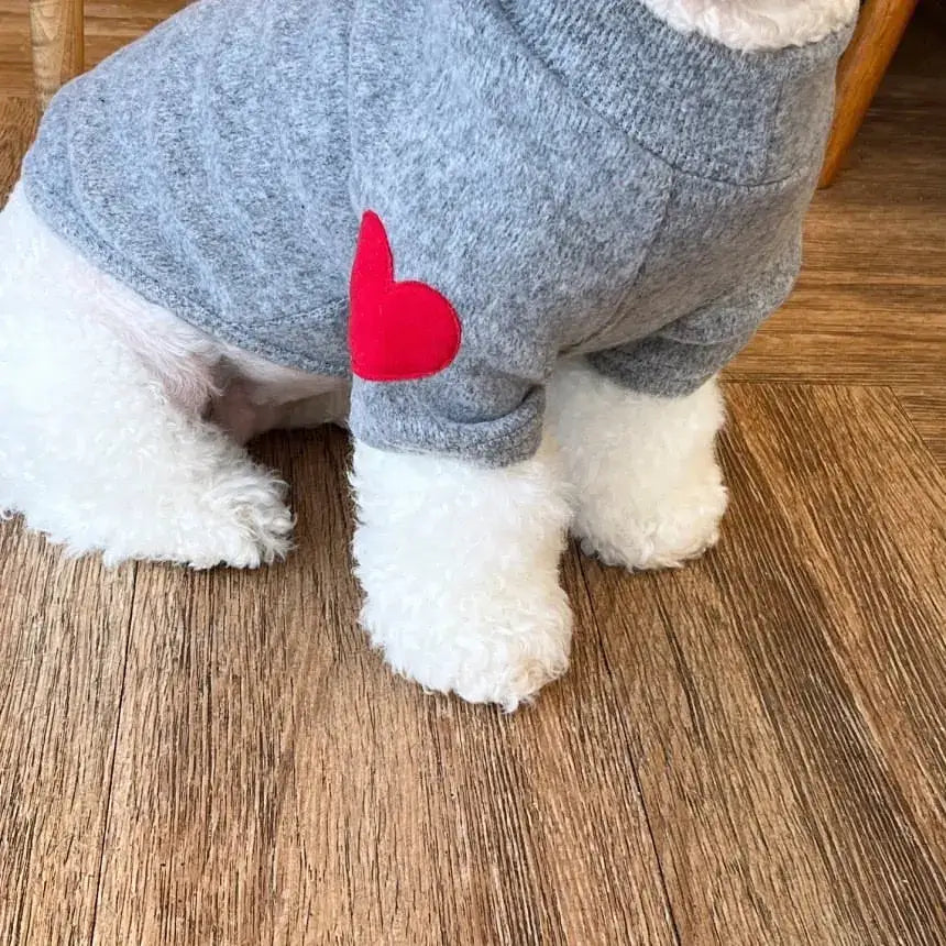 Dog wearing a gray sweater with a red heart on it.