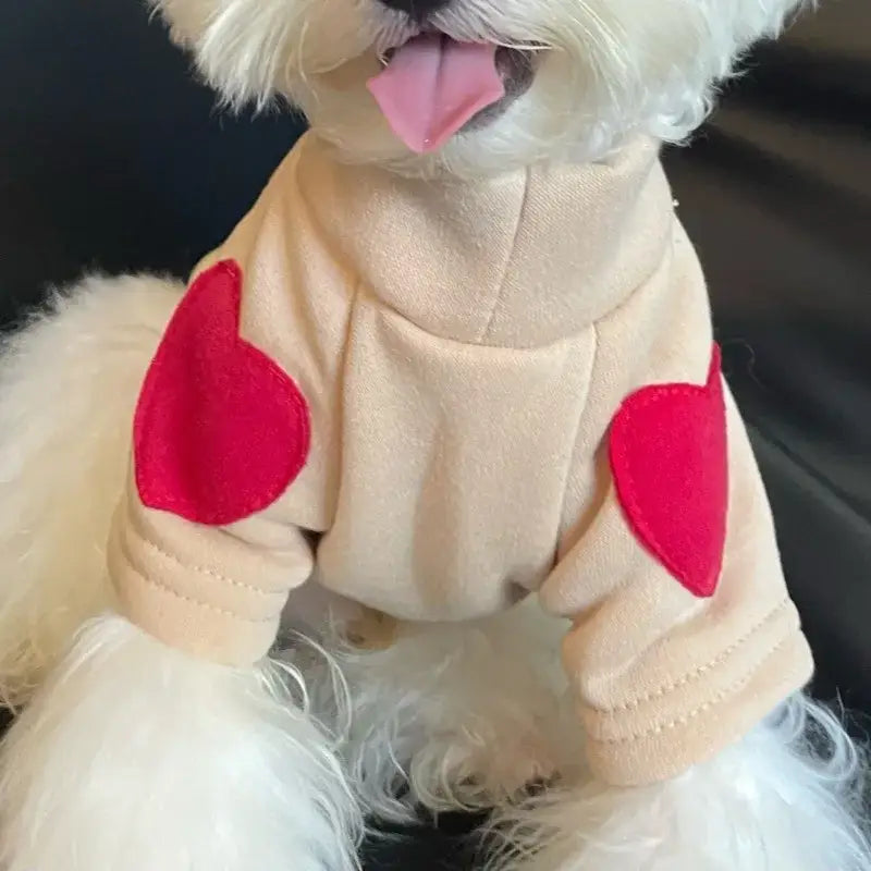 White fluffy dog wearing a beige sweater with red heart patches.