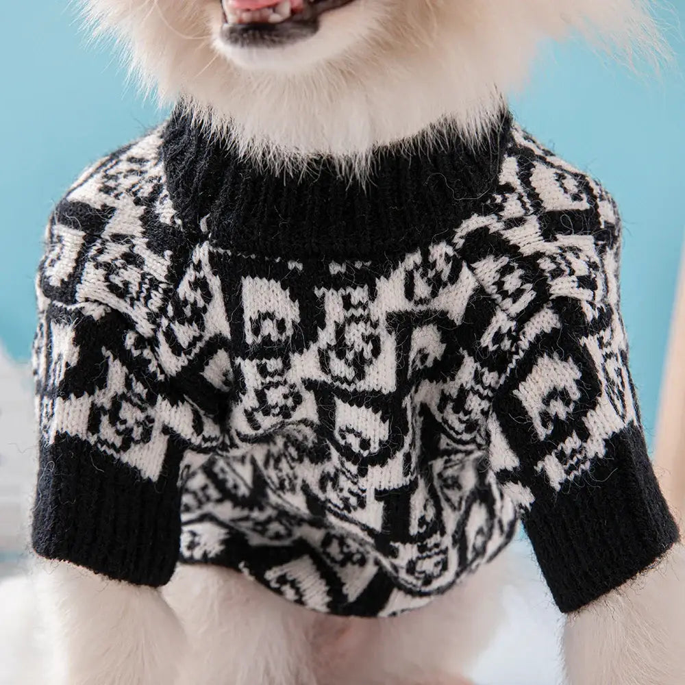 Black and white patterned sweater worn by a dog.