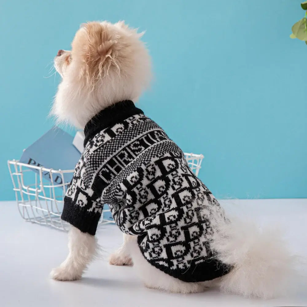 Fluffy white dog wearing a black and white patterned sweater.