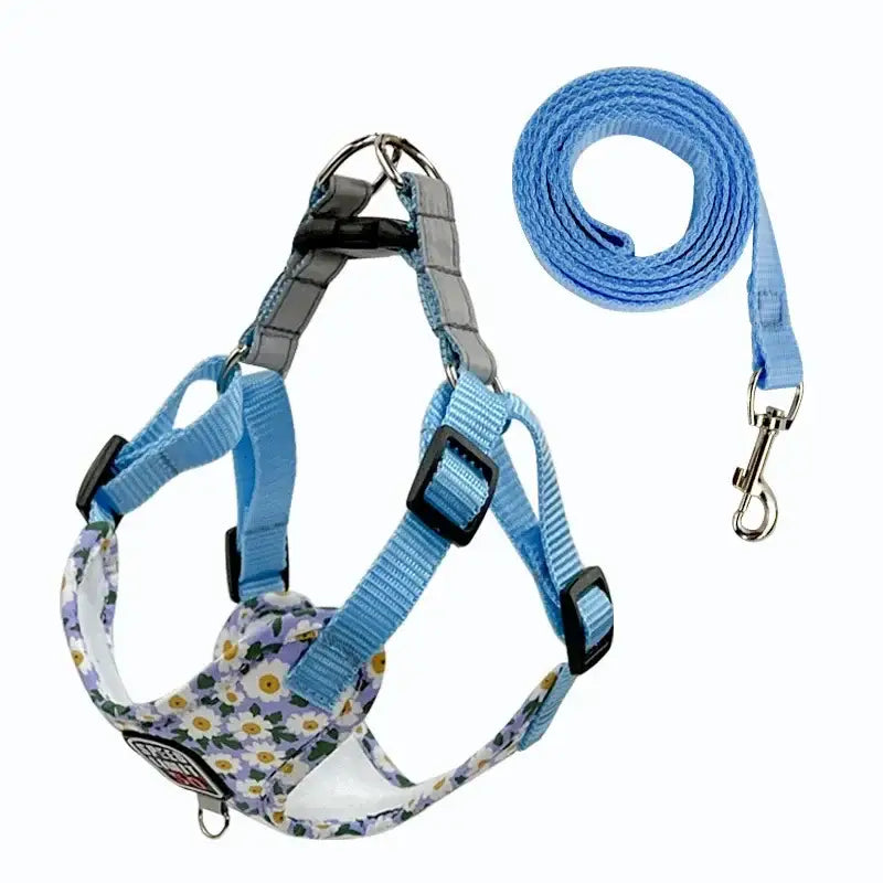 Dog harness with a floral pattern and blue straps, accompanied by a matching blue leash.