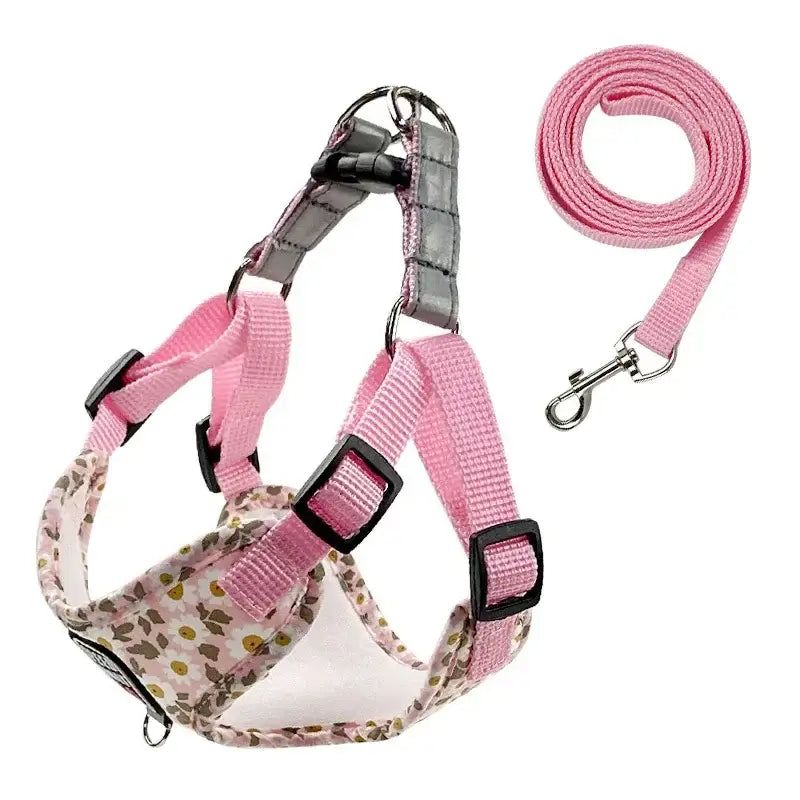 Pink and floral-patterned dog harness with matching leash.